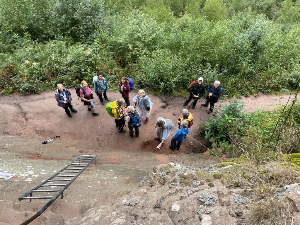 Wanderreise in das Dahner-Felsenland vom 07.- 12.09.2025